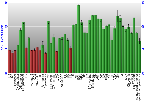 Multi-state expression graph