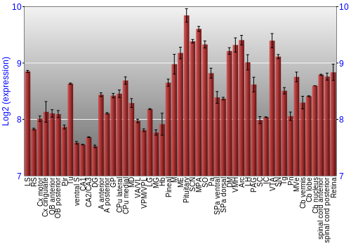 Expression graph