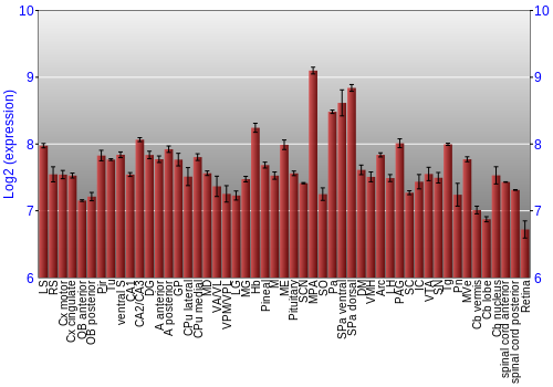 Expression graph