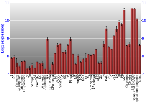 Expression graph