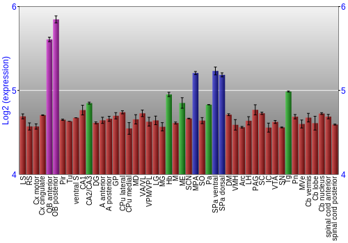 Multi-state expression graph