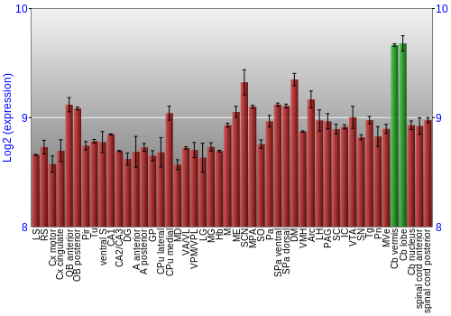 Multi-state expression graph