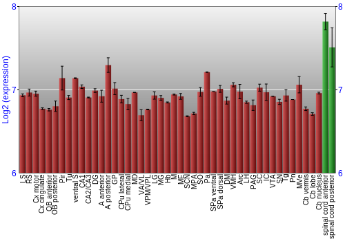 Multi-state expression graph
