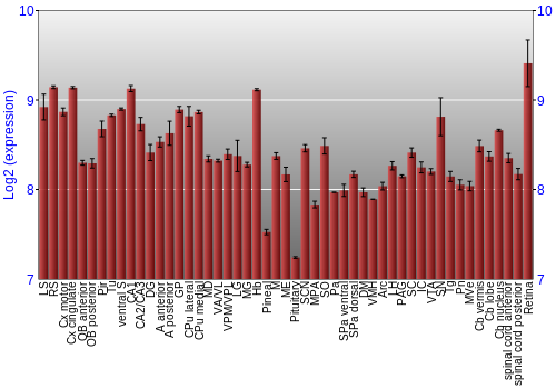 Expression graph