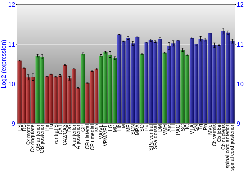 Multi-state expression graph