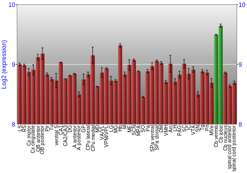Multi-state expression graph