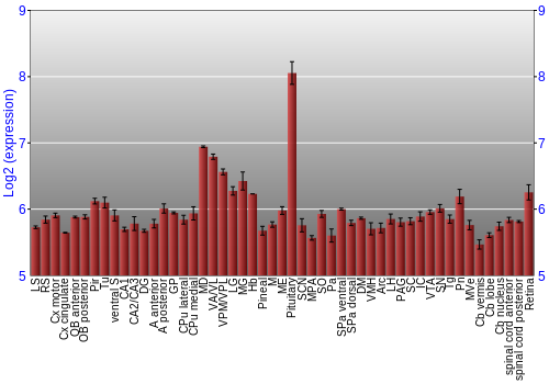 Expression graph