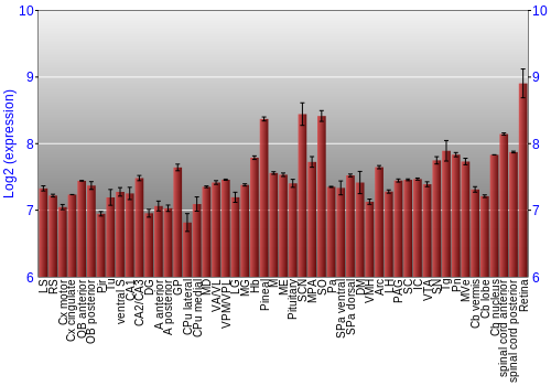 Expression graph