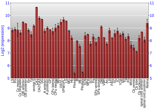 Expression graph