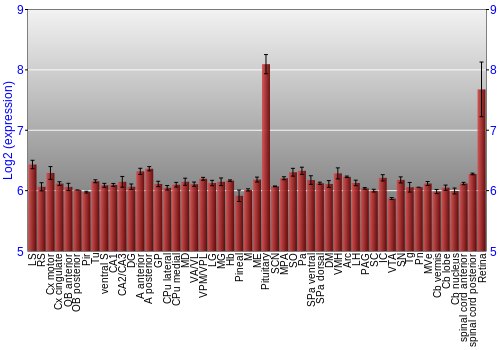 Expression graph