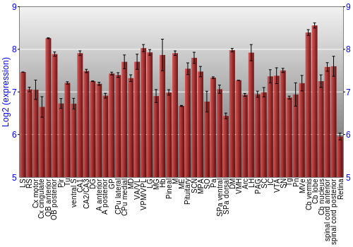 Expression graph