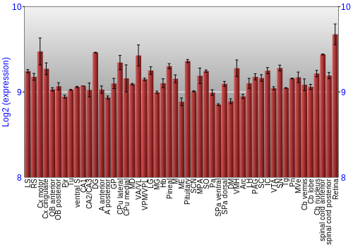 Expression graph