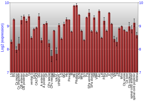 Expression graph