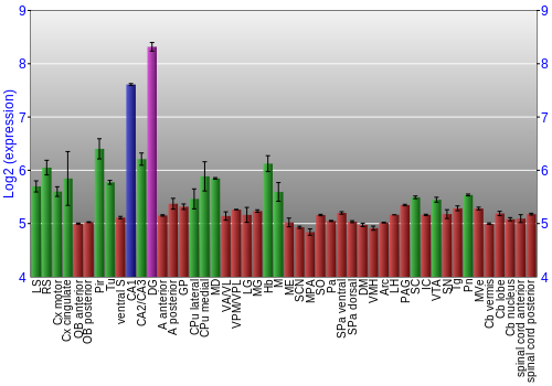 Multi-state expression graph
