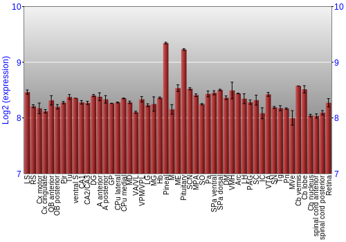 Expression graph