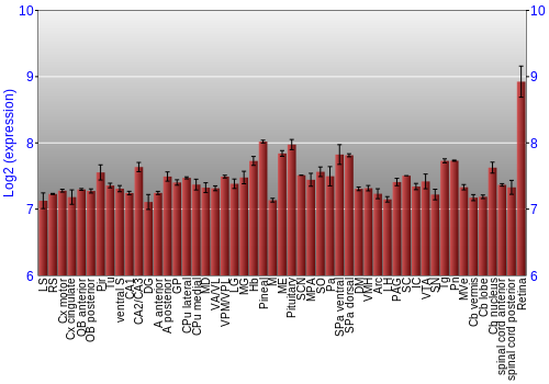 Expression graph