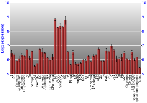 Expression graph
