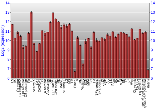 Expression graph