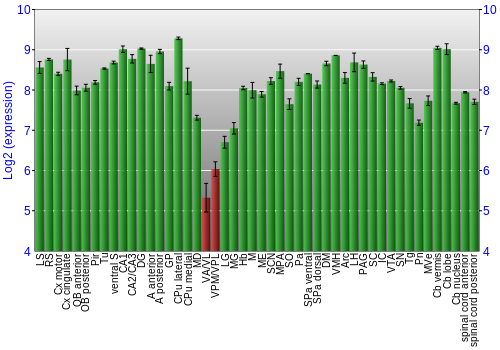 Multi-state expression graph