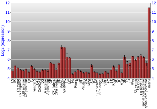 Expression graph