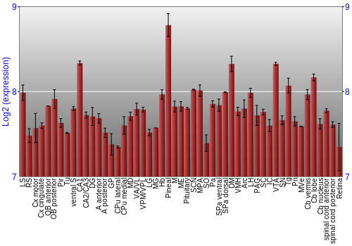 Expression graph