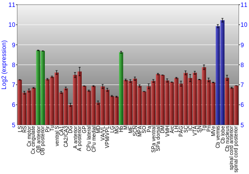 Multi-state expression graph