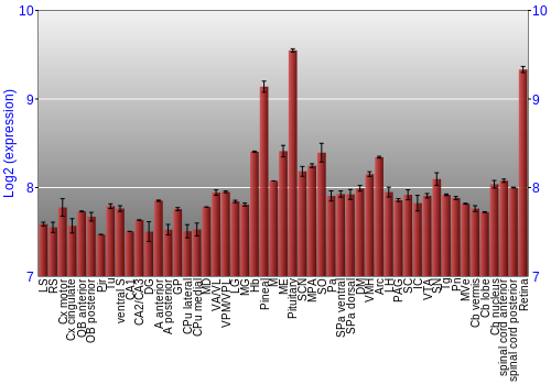 Expression graph