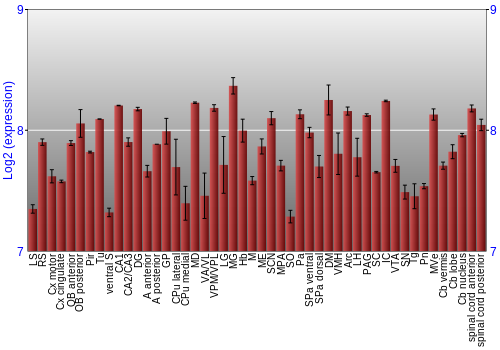 Multi-state expression graph