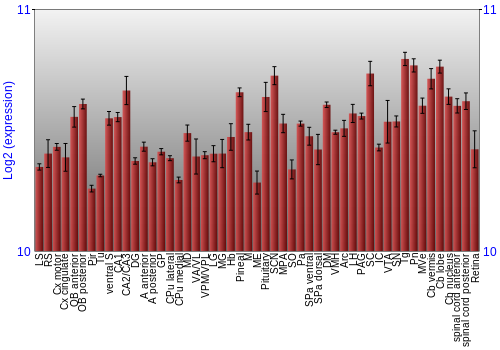 Expression graph