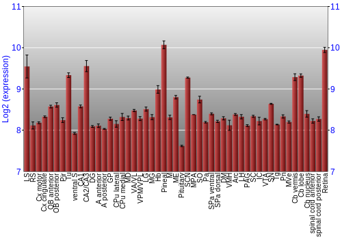 Expression graph