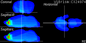 ViBrism